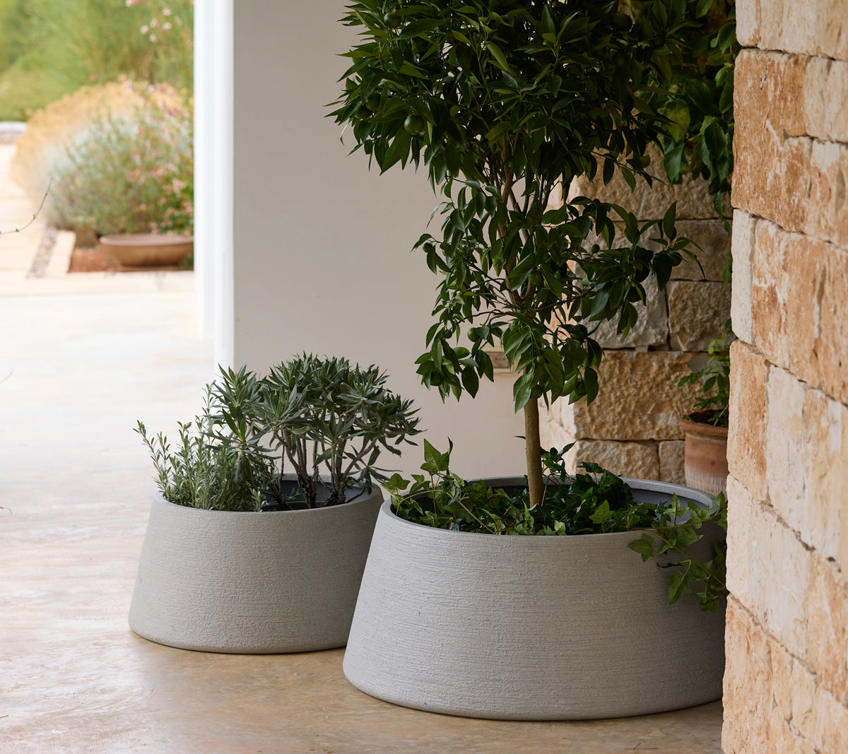 cane planter pots Soil planter trapezium, small