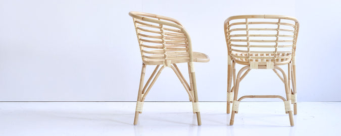 Rattan dining chairs