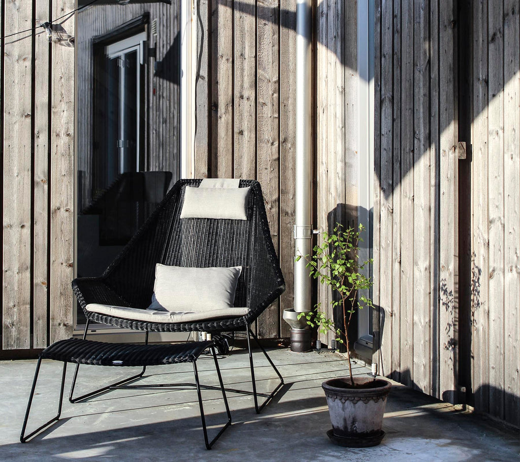 A stylish black chair with a cushion, positioned next to a small potted plant against a wooden backdrop.
