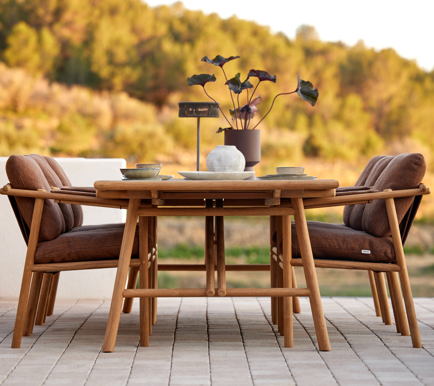 Teak dining table set with stylish cushions, surrounded by a centerpiece of decorative plants, perfect for gatherings.