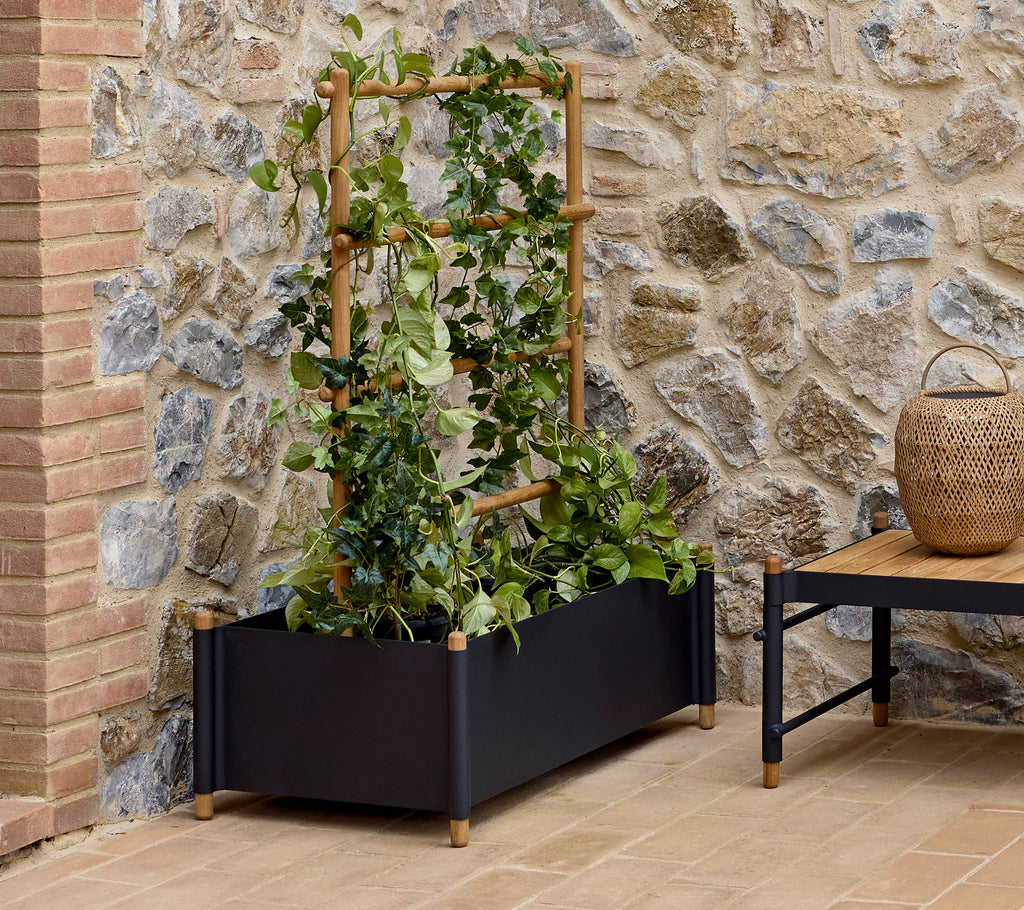 Large planter with decorative sticks, featuring lush green vines, set against a stone wall with a natural aesthetic.